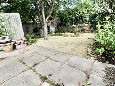 Picture 23